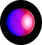 amoxi-area-shape-1-3