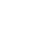 funfact-shape-2-1
