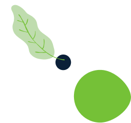about-1-leaf
