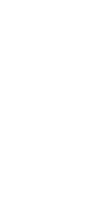 slider-3-shape-1