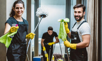 Window Of Cleaning