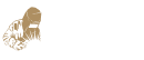 voldor logo