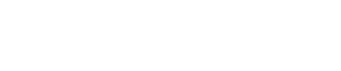 zoomvilla